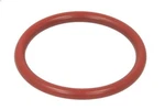 Sealing Ring, Torque Converter Zf 0501.328.488 Nuovo. Price: $25.62.