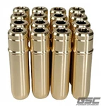 Gsc Power Division 3133 16 Valve Guide Set Ford Coyote Gen 5.0L New. Price: $108.95.