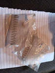 New 611756 Oem Lawn Boy Toro Spring Nos Lot Of 2 F5. Price: $9.60.
