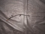 2000-2005 Toyota Celica Gts Gt-s Engine Oil Dip Stick Level Tube Guide 2ZZ-GE Used. Price: $46.55.
