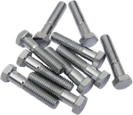 Drag Specialties Hex-head Bolts Chrome 3/8 Inch 16 2 MPB136 Replacement New. Price: $21.34.