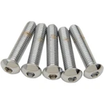 Drag Specialties 5/16X18X2" Button-head MPB828 New. Price: $36.11.