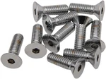 Drag Specialties Countersunk Socket-head Bolts 5/16IN.-18 X 1/4IN. MPB580 New. Price: $40.59.