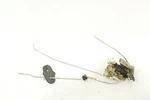 1990 1991 1992 1993 1994 1995 Mazda MX-5 Miata Driver Door Latch Lock Actuator Used. Price: $33.23.