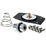 Allstar Performance #ALL99430 Rebuild Kit ALL40290 New. Price: $22.99.