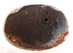 Vw Beetle Hella Tail Light Housing 133945289 Cover Plate Used. Price: $55.00.