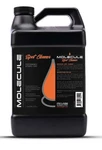 Molecule MLSP1G Performance Apparel Care - Spot Cleaner Gallon Each New. Price: $55.29.