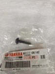 Yamaha Bolt,hex. Socket Button 90111-06142-00 Oem New. Price: $9.65.
