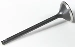 Kpmi Black Diamond Exhaust - Intake Valves New. Price: $63.47.