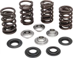 Kpmi Part 20-20360 Spring Kit With .600 Lift For Harley Davidson Bikes New. Price: $254.00.