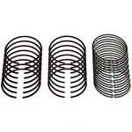 Moly Piston Rings Sealed Power E301K40 New. Price: $153.13.