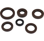 Quadboss Oil Seal Set QBS564595 New. Price: $43.72.