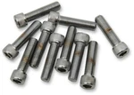 Drag Specialties 5/16-24*1 Smooth Allen (10) Cy-chrome MPB228S New. Price: $37.08.