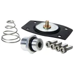 Allstar 99430 Rebuild Kit For ALL40290 New. Price: $32.17.